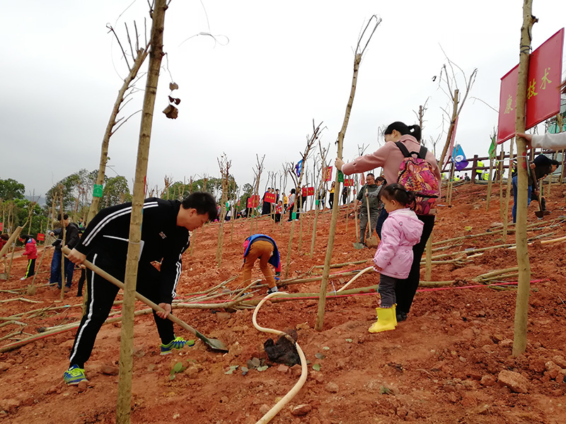 Tree planting—the scenery is within our reach