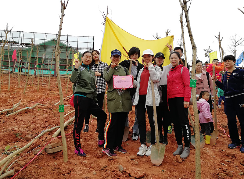 Tree planting—the scenery is within our reach